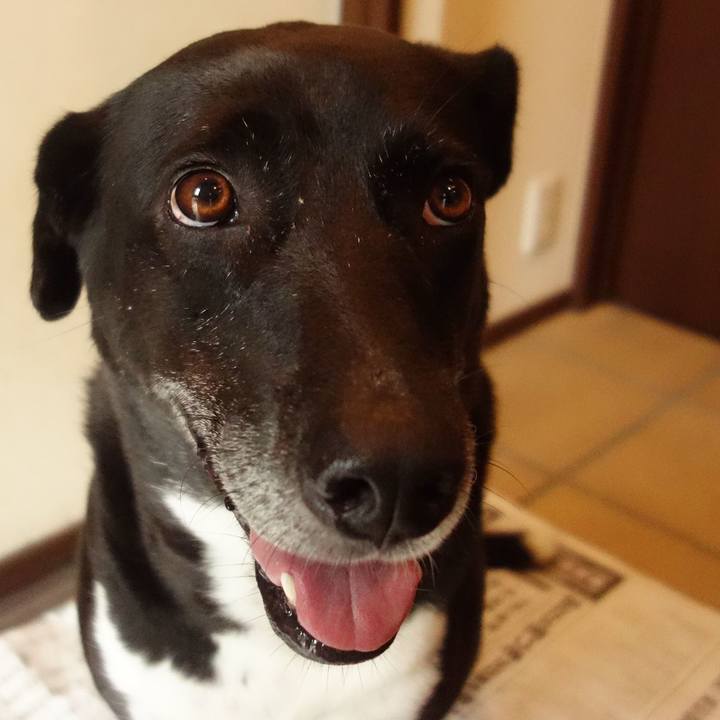 87162324 e457 4d41 8f9e 91bc54f49ca0 1665618866580