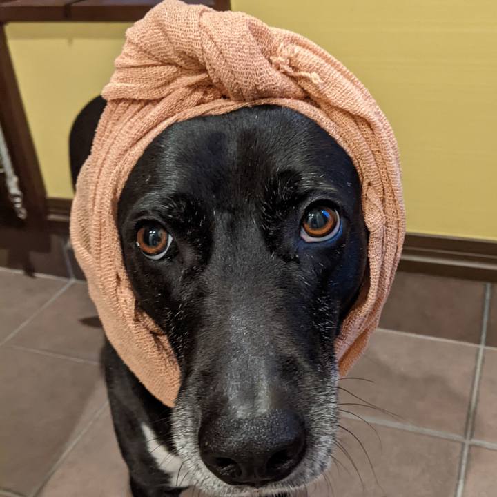 871632b4 7a31 4d72 be1e 7e56390e96ef 1681815980721