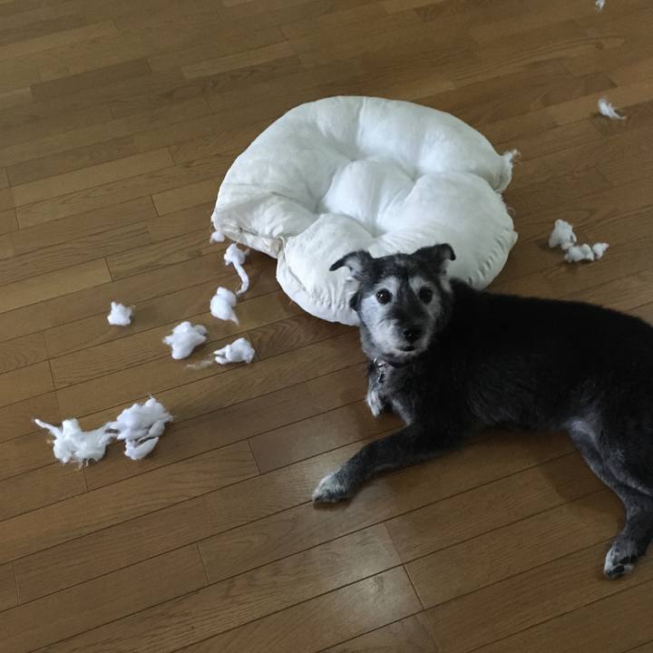 87165c01 90a3 434c b810 d36673a07ad6 1529308633480