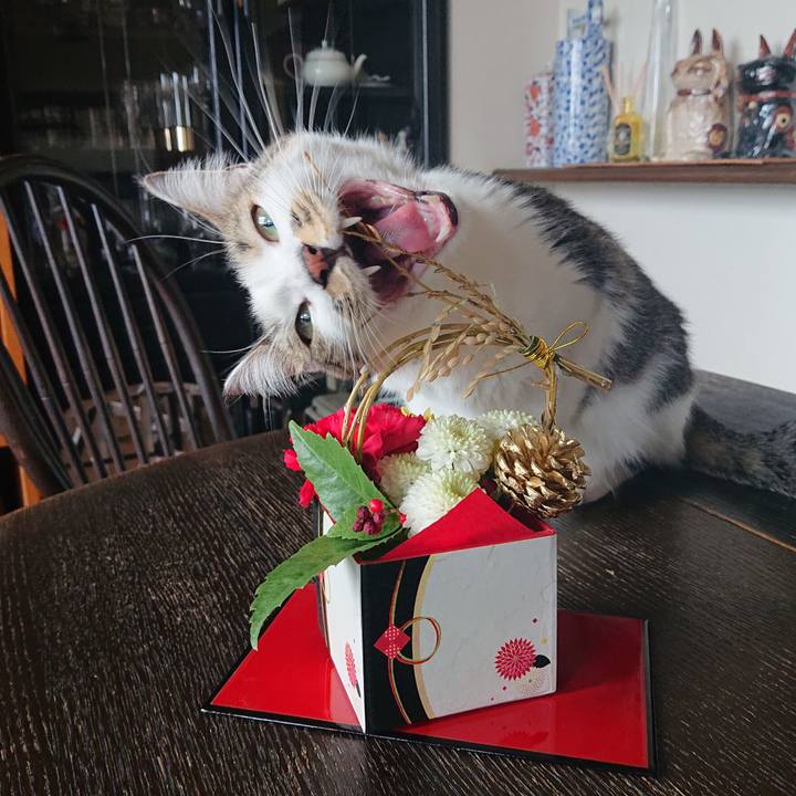 87166415 802a 440e 900c 6decabf0d530 1609477294594