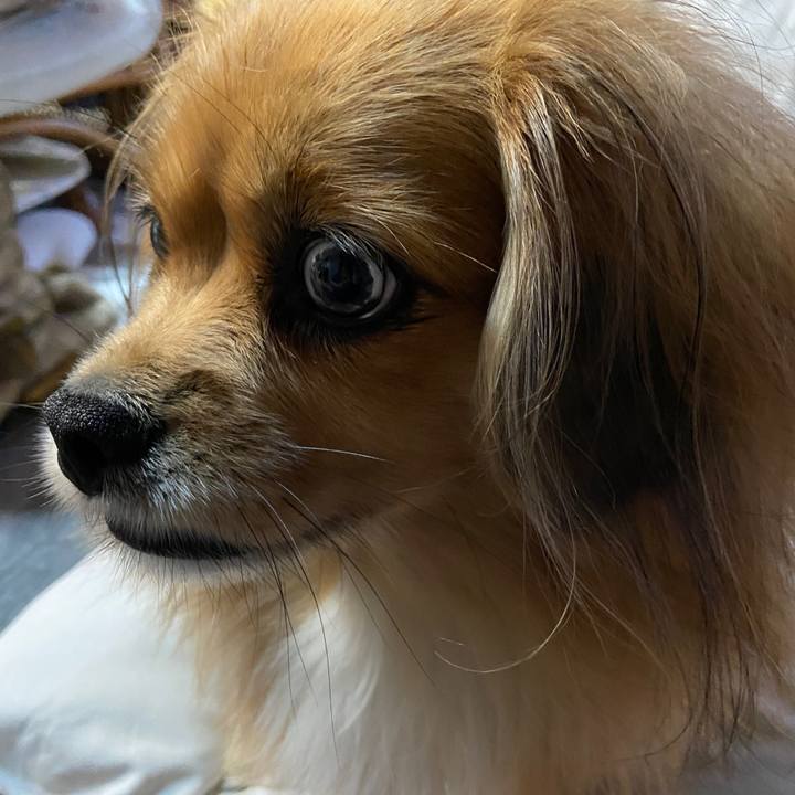 87167aa6 1424 424e b084 4f043f38ce7e 1636407725517