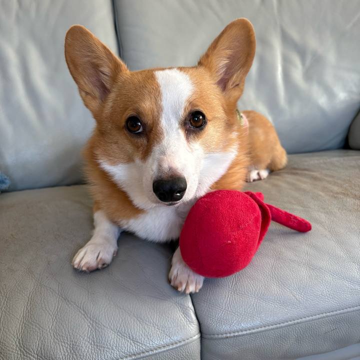 8716bded abe1 4c19 aebf 88a85fd79815 1771114619832