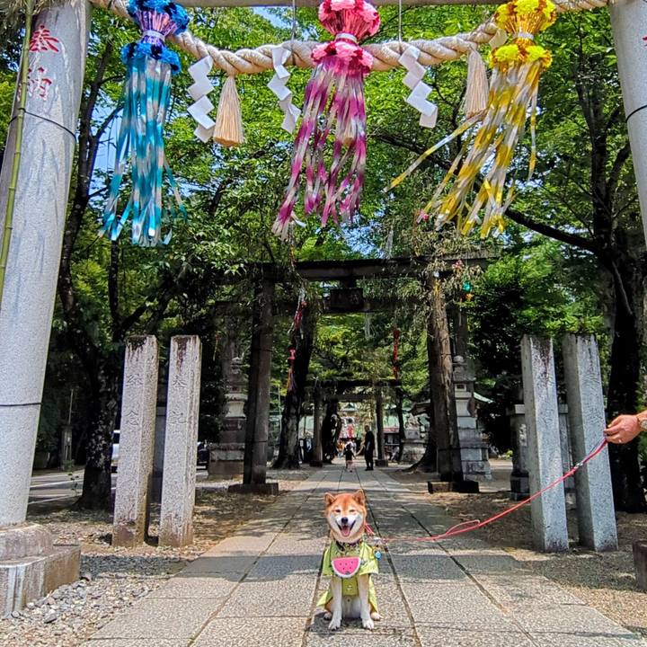 8716ccd6 90d1 4f1d 84ab e085af3152e0 1751782460205