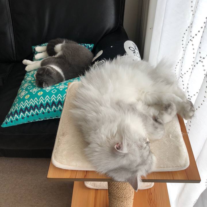 8716f99e e261 4b46 b4c3 d68e892d3cf8 1532232170696