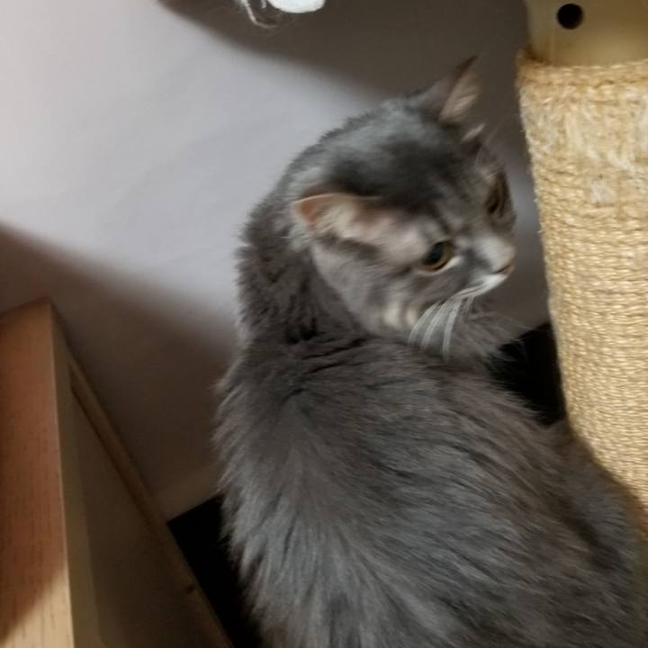 87170012 cb63 40b1 bbcd 2e106828f384 1536576717726