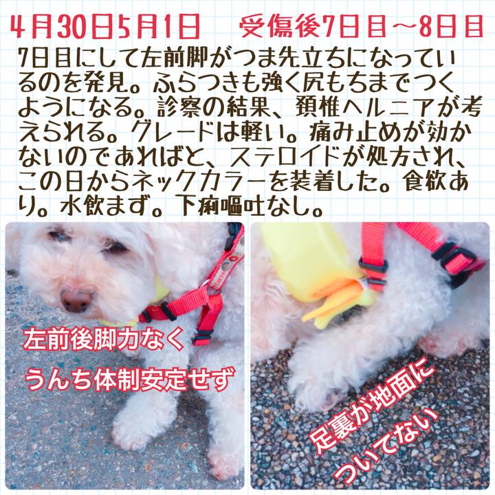 87171c7c b044 4732 a5b8 eac1b804d2ae 1527132865749