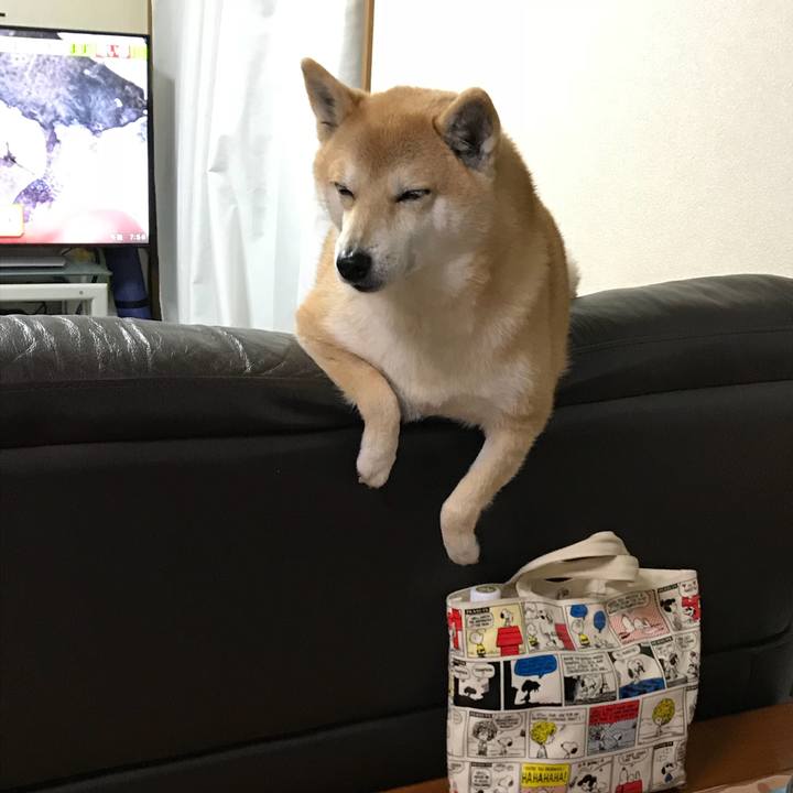 871731c5 08d8 465c b343 5283dadfbfc6 1516345900904