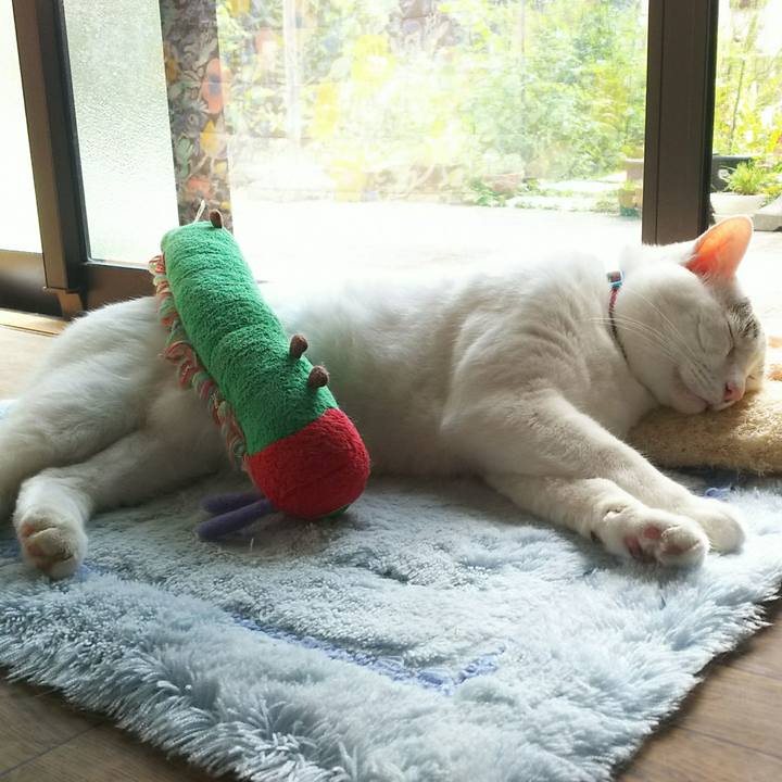 87173a8e 6afb 47f3 afe0 4d136265c0a0 1531029088372