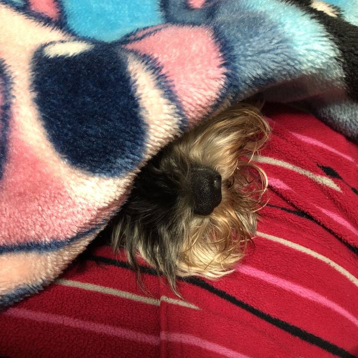 87173b1b 3f27 442e 9796 f83f051e213f 1579606469452