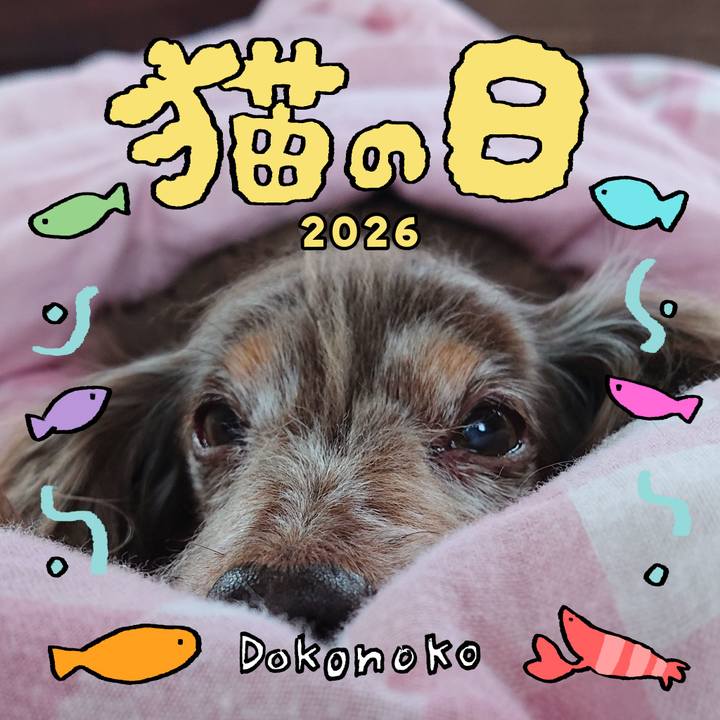 87174910 f508 4029 980b 70864a1f3abf 1771713111158