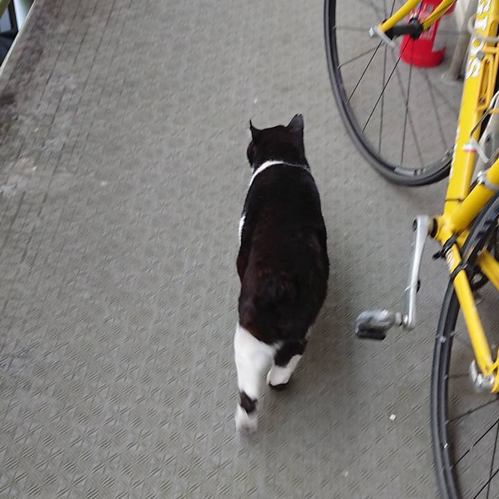 871761b1 5e13 49ff 91fc 724fb20c3010 1622086490178