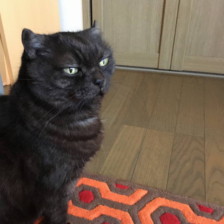 8717bf3b f128 4b7f 9d18 f3ee56215508 1580624911671