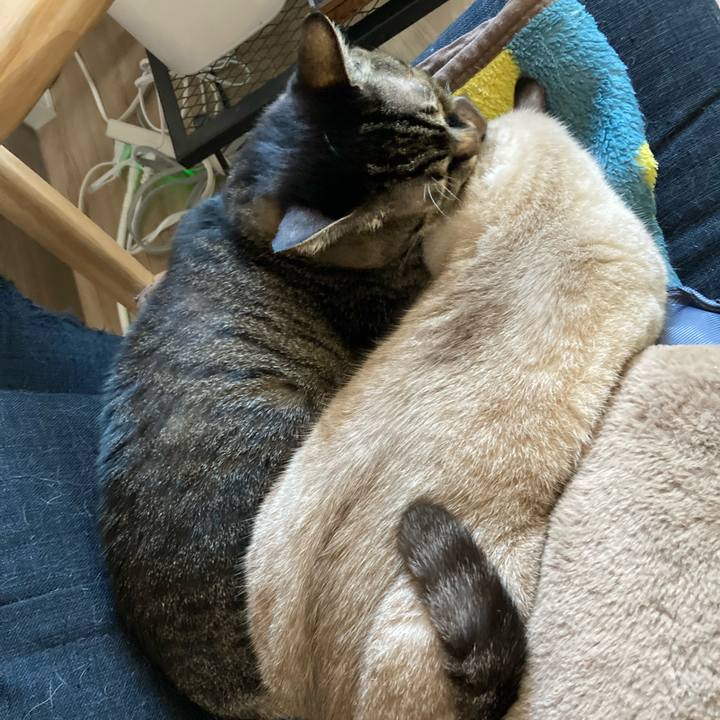 8717e135 6d78 4ed6 acca 5cfe9b845701 1767673430981