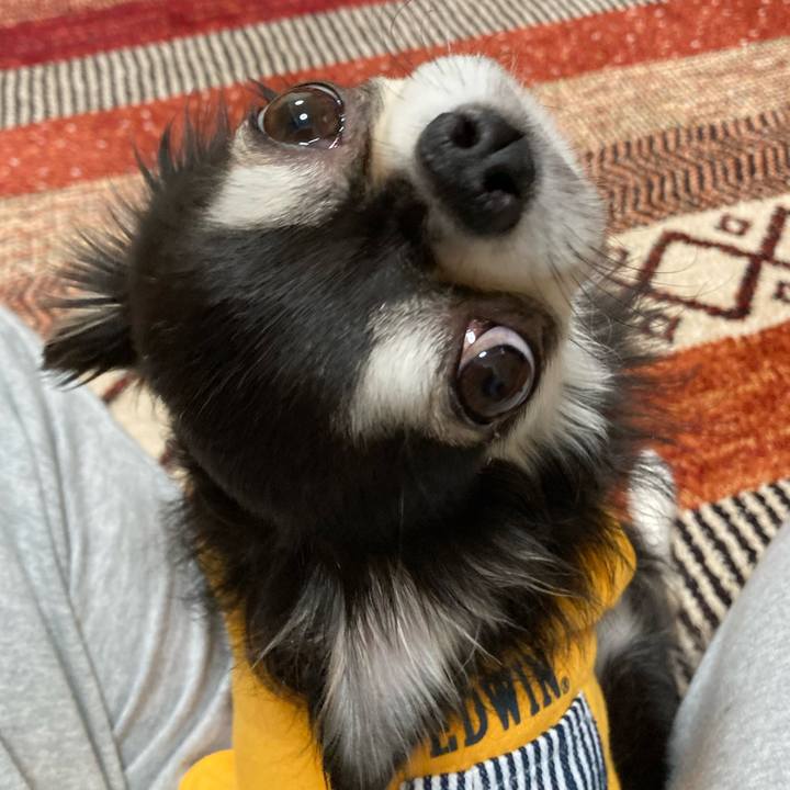 8717eae3 dd8e 45cc 9751 a8407f62f560 1677423518243