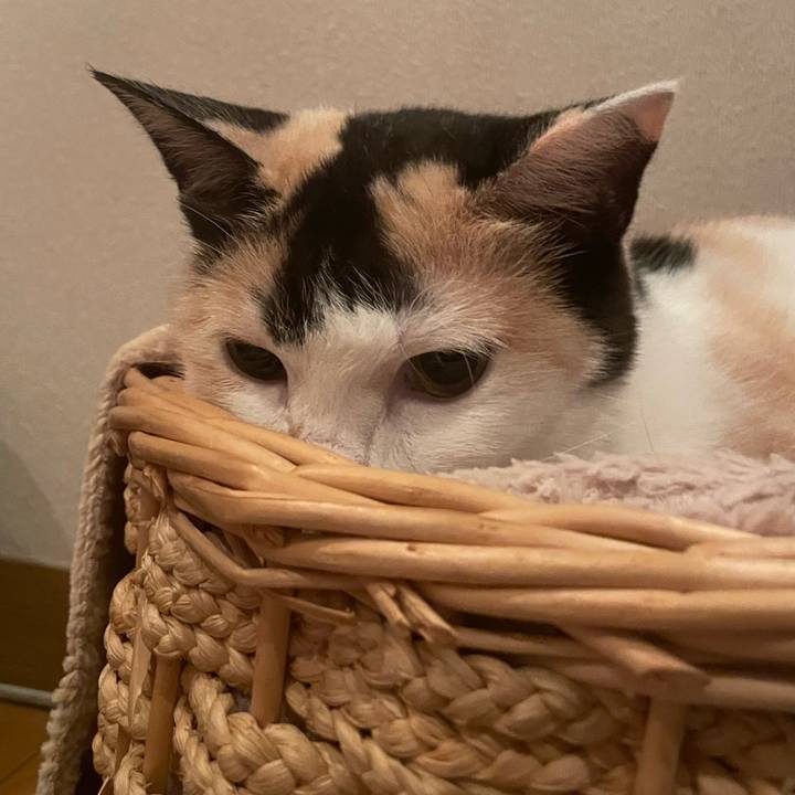 8717f0fd 0f30 4f9f 91c5 a85fe64a7ff4 1685584505962