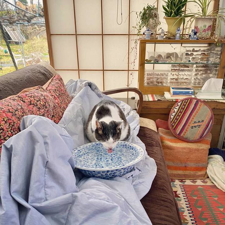 8717f2e1 585d 4909 9314 0cb42af4efb1 1615104596921