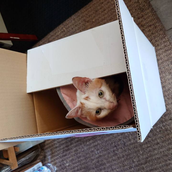 871834d8 442e 435b 99f4 ba814bc26cb7 1760666457215