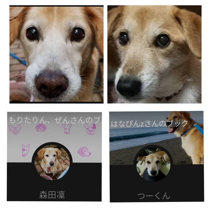 8718b63e 351a 4eea bf95 143250cc4bbd 1644664288646