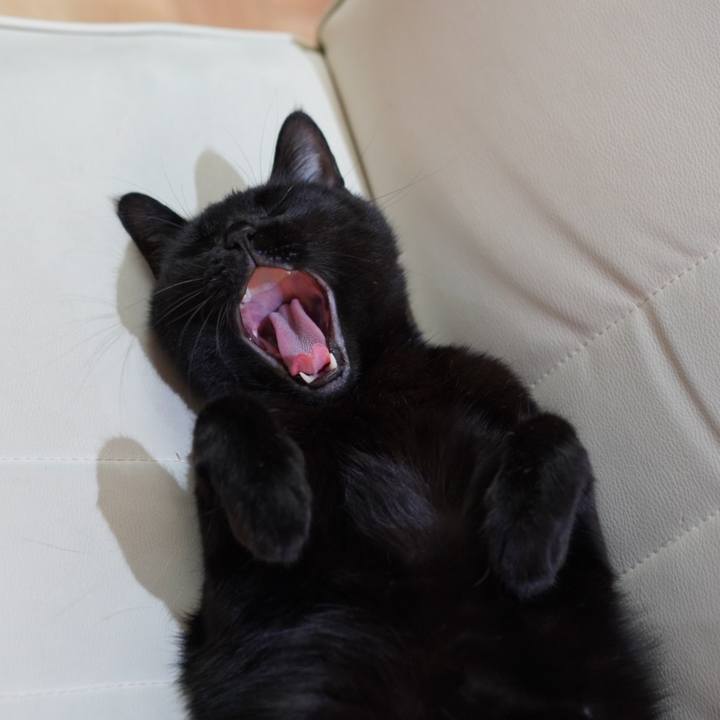 8718b6b2 22b8 4140 b437 3537527e57ea 1630844058702