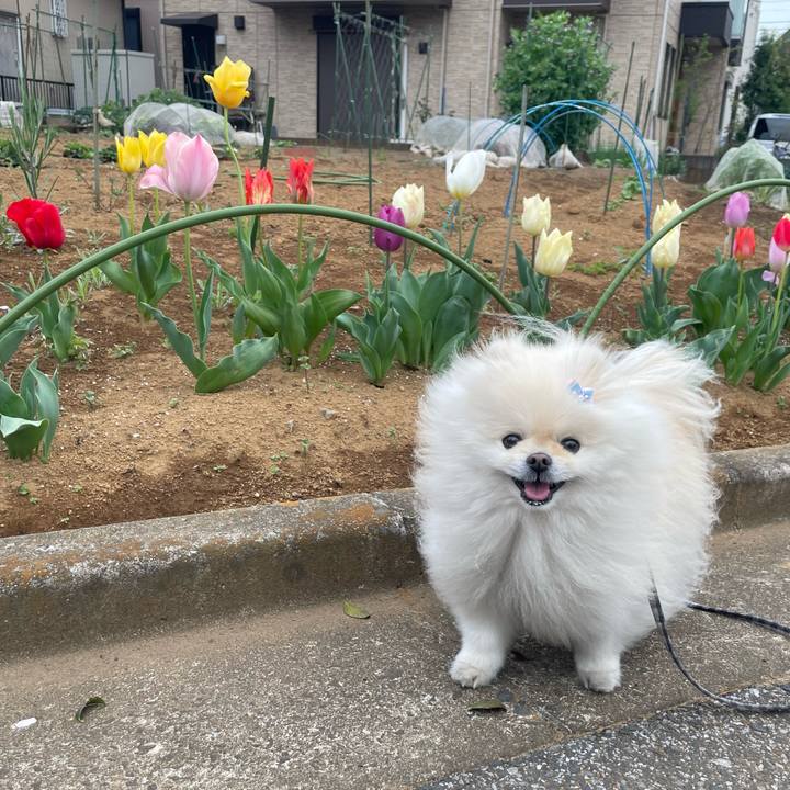 8718c141 53a7 43ea bfb5 58478d5ac4fe 1680734246181