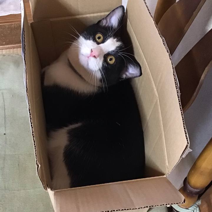 8718c246 6f3a 4d46 b194 a408e1d9345f 1635989186303