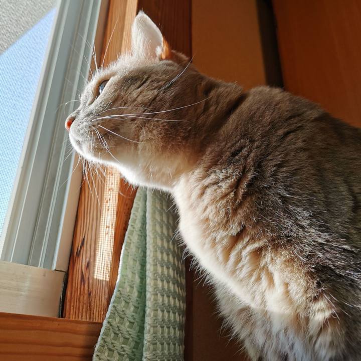 8718ccbb da35 4792 aae8 ce3b562438e3 1665811896611