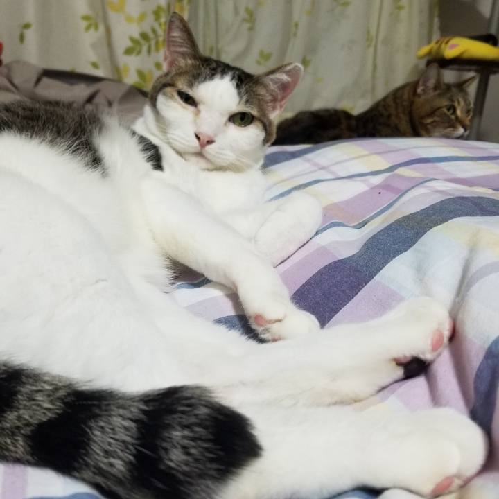 8719369c 18d3 458e a88d fb9e35aa1915 1619181446187