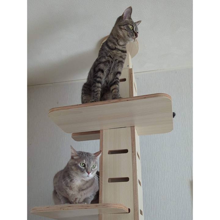 871950ca b1b1 4608 aacf db3a7e1e694e 1710475599777