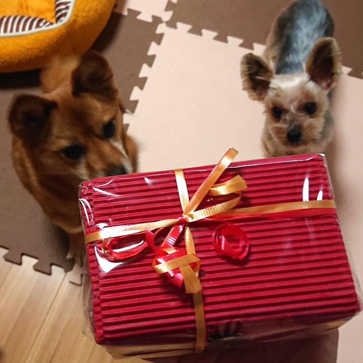 87195d9c b1f4 4e84 a95d 905cdfa321ec 1584143818032