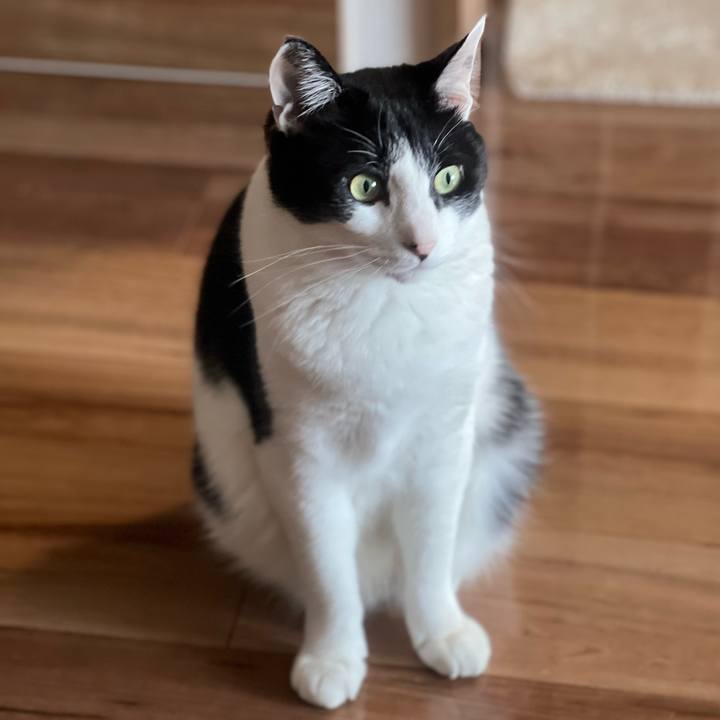 87196d71 8748 4964 9a1e 2762eb6c267c 1679650568633