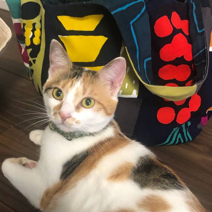 8719a84f 7cec 430d bb7b a1d33b2cacfc 1598312113256