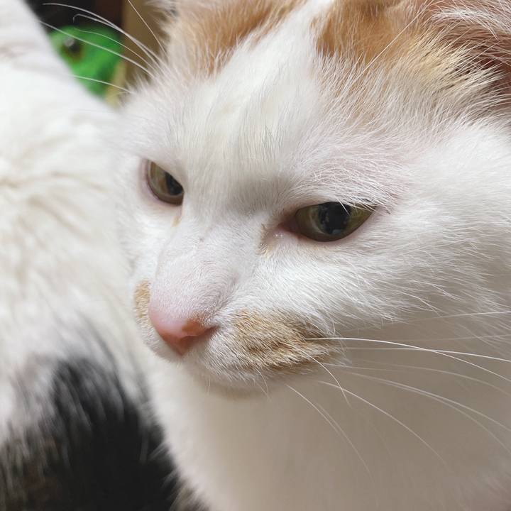 8719ba3e ac4a 48aa a75b 2d93f9385b3b 1611410535488