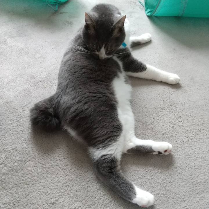 8719dd97 d075 4e16 aab9 22cb86db06bd 1628484742326