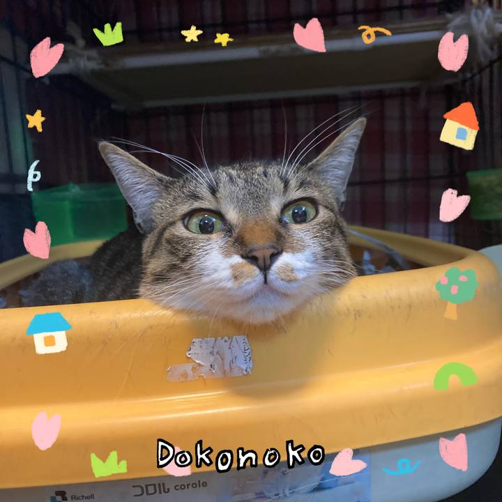 8719f562 f351 4464 a5e7 522a30162aaf 1741483709464