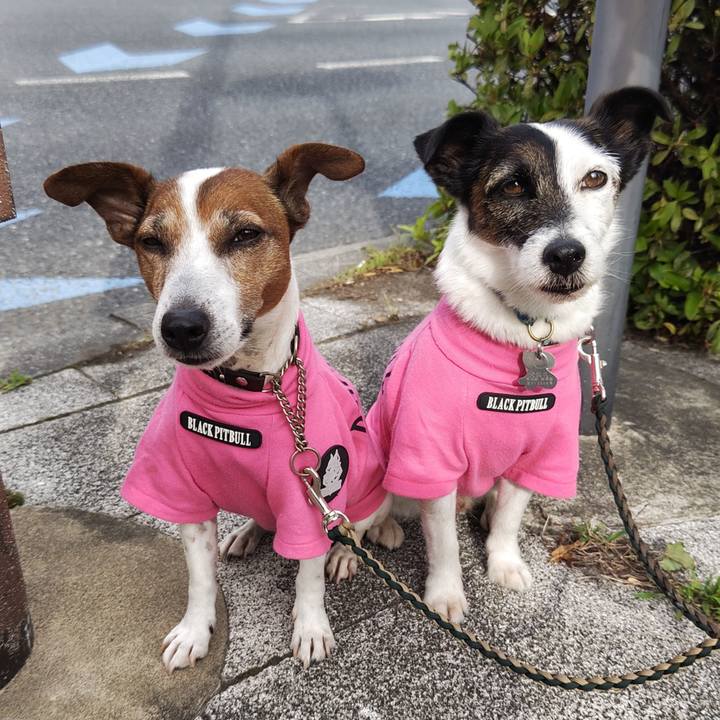 871a0a1c de51 4317 9a69 f93105bd31a6 1747865270496