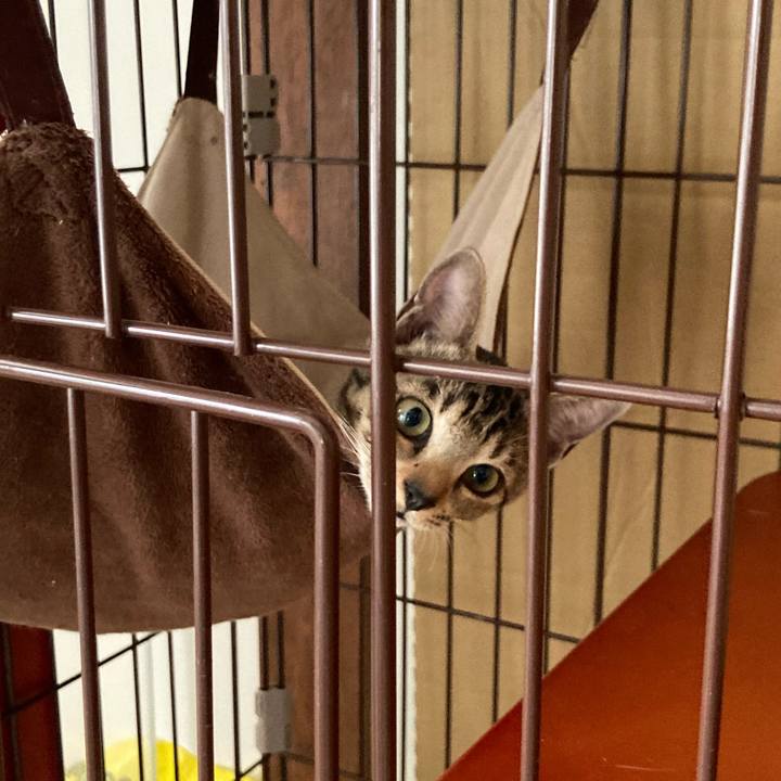 871a3c88 4c31 47b8 b8ff 72313c86d3e6 1662869592580