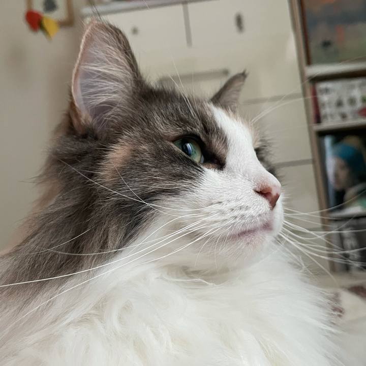 871a5bc8 8d1b 4909 b782 3e7c01de2ae9 1606099641846