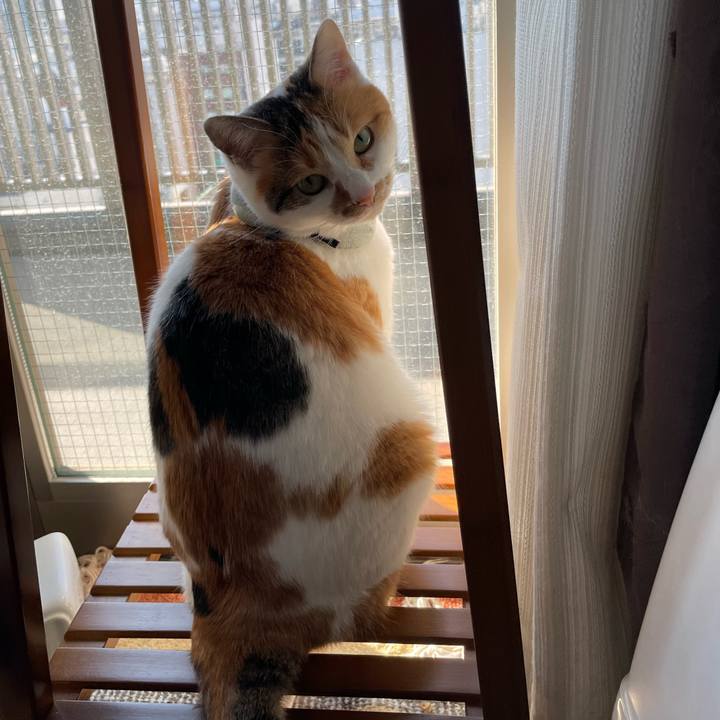 871a9240 fd7e 4534 98c6 e6d98e23e9c1 1673150353089