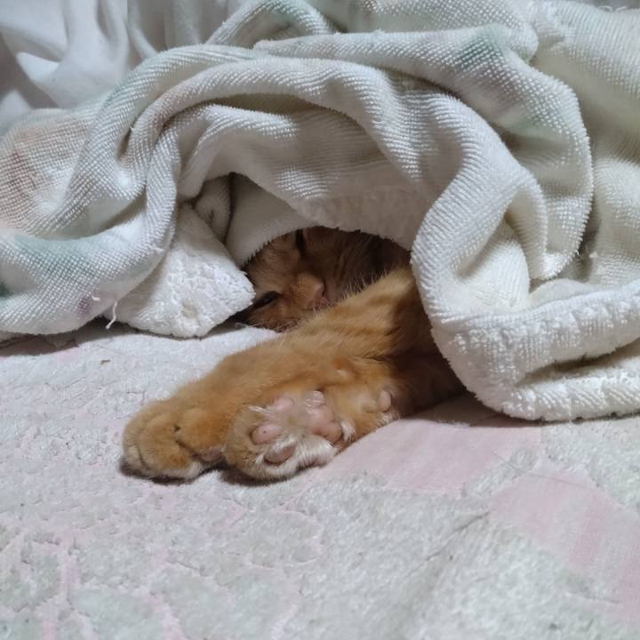 871b1055 069a 47bd 894a 2a99363849f7 1707123922513