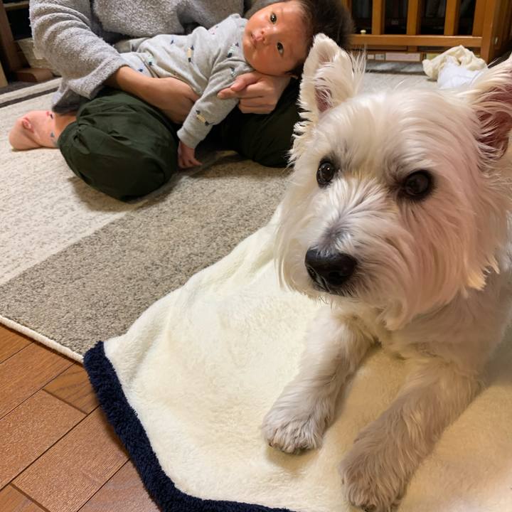 871b113f 8823 4fb0 bf3b f8d96240708b 1607262079159