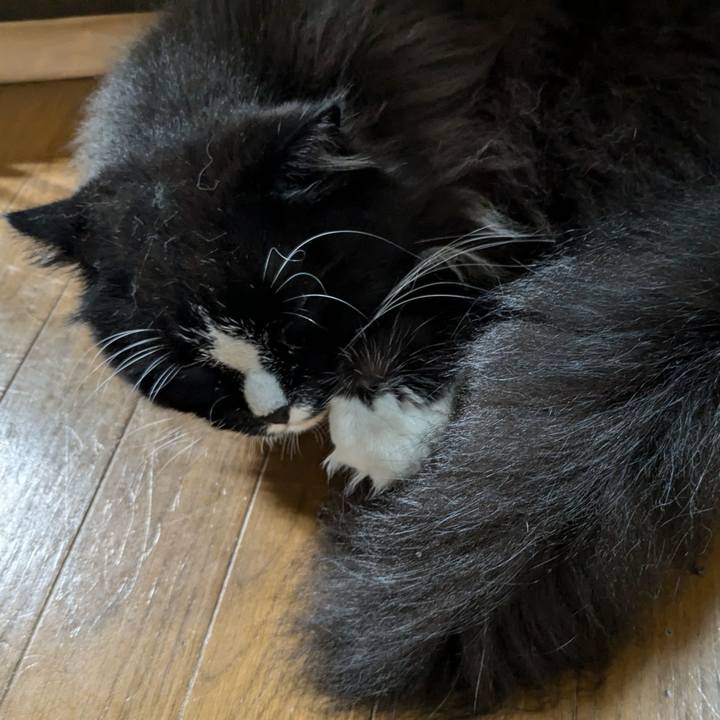 871b1165 9fc1 43b3 a5a8 fba2393e4be4 1722978707254