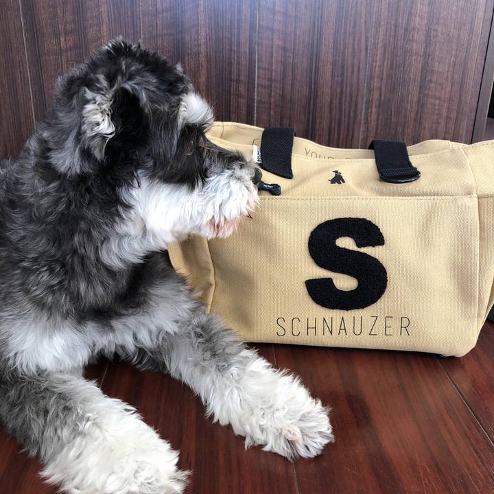 871b1358 f232 4749 a0e4 d9df4a5361ad 1706337822947