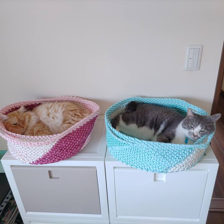 871b47cd e509 4e0d a5c6 8acf9dab02e0 1657146812891