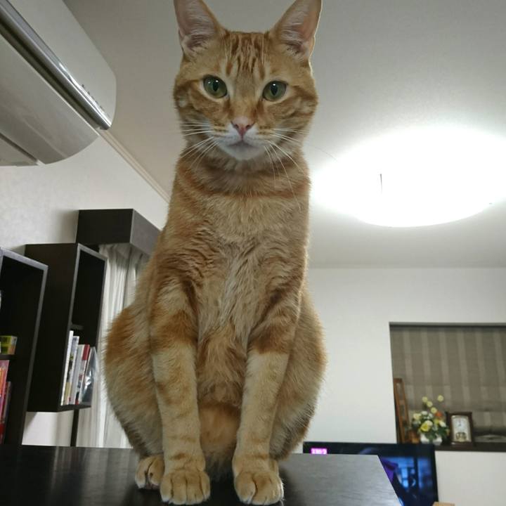 871b5b0a 9f92 43fc a6ec e04744f315a4 1521976544790