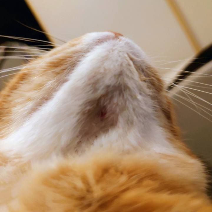 871b5f20 4a81 4e59 8213 9a00940920ab 1762526980649