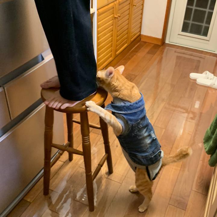 871b6f3e 1be7 42d6 acb6 5f30d95a270e 1645884163774