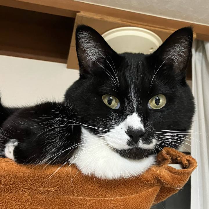 871be673 7bf8 43c2 b31d a5594ffc3bd3 1770179395602