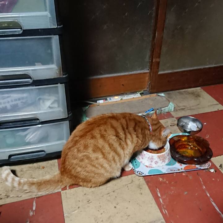 871bfa0c be20 4473 bce4 9a6dc3f45085 1575318051413