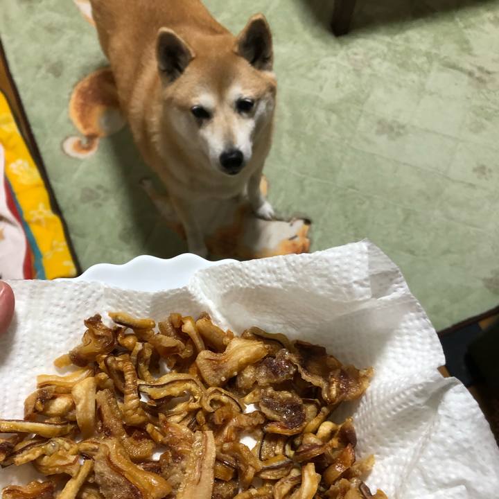 871c491f 1788 4759 abf9 986f2080f478 1608902173568