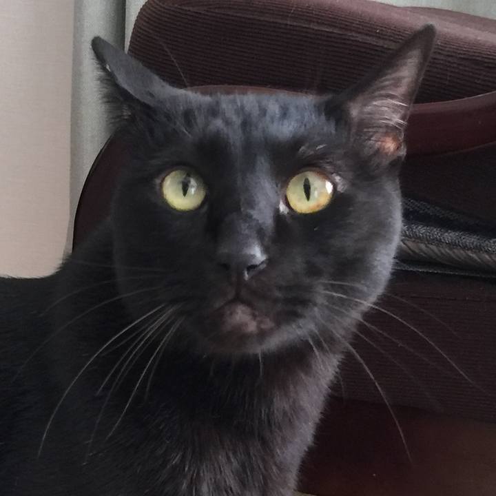 871c7efb d7dd 4520 883e 7241155b6377 1534667795441